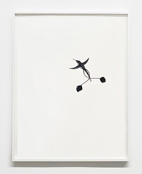 Shelley Reed -&nbsp;Loddiges' Racquet Tail, 2024 oil on paper 30 x 22 1/2 inches ree319