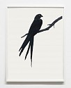 Shelley Reed, Swallow-tailed Hawk
2024, oil on paper