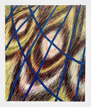 Work:&nbsp;Sarah Davidson Yellow Wing, 2025 oil on linen 40 x 30 inches Dav002