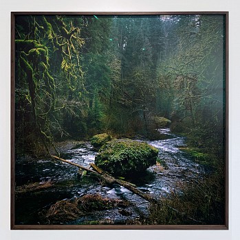 Jason Frank Rothenberg - Silver Falls, 2025 archival pigment print 56 x 56 inches / 57 x 57 inches framed JFR028