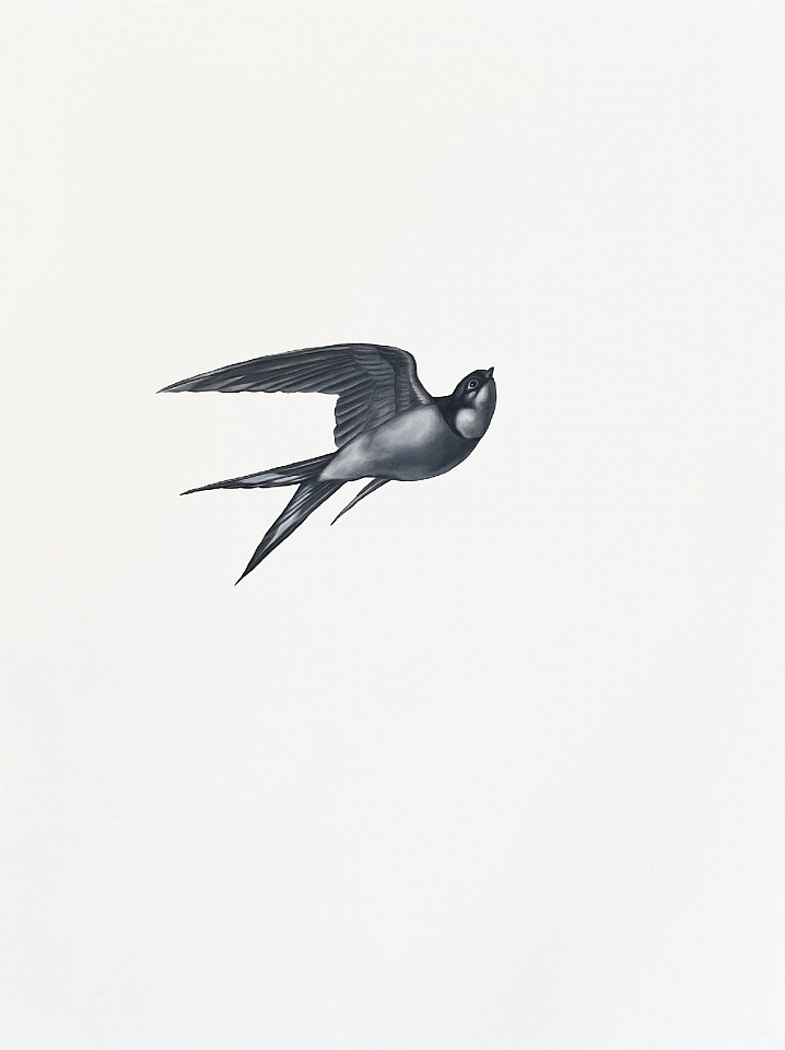 Shelley Reed
Swallow 3 (after Menaboni), 2022
ree345
oil on paper, 30 x 22 1/2 inches