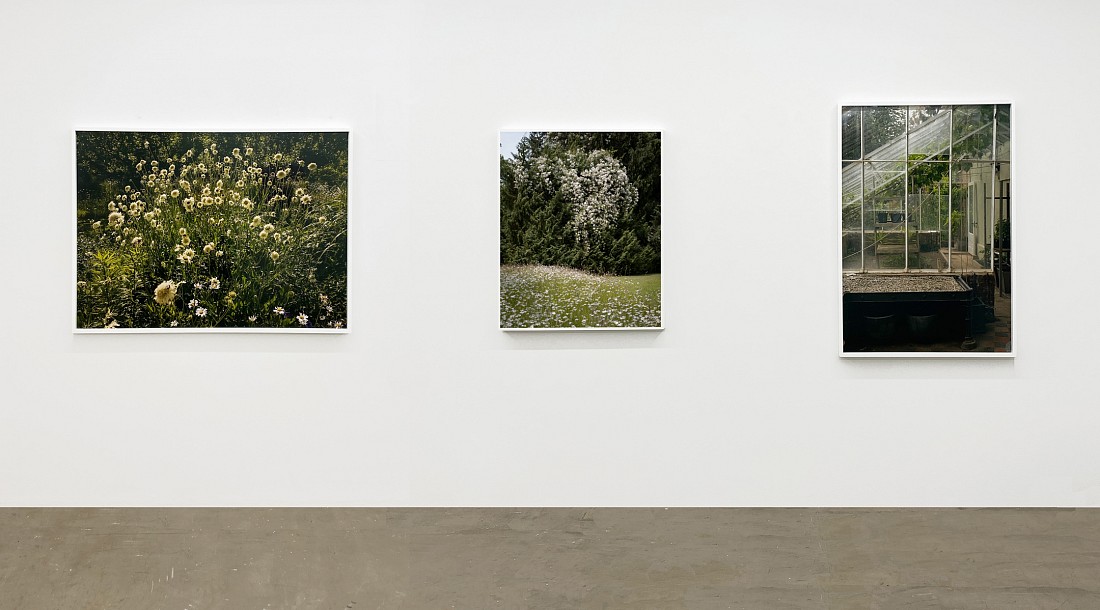 Far Afield  - Installation View
