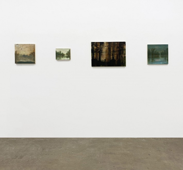 Far Afield  - Installation View