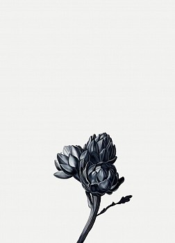 Shelley Reed (LA) -&nbsp;Cluster (after Snyders), 2026 oil on paper 41 1/2 x 29 1/2 inches ree368