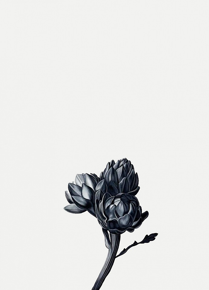 Shelley Reed (LA)
Cluster (after Snyders), 2026
ree368
oil on paper, 41 1/2 x 29 1/2 inches