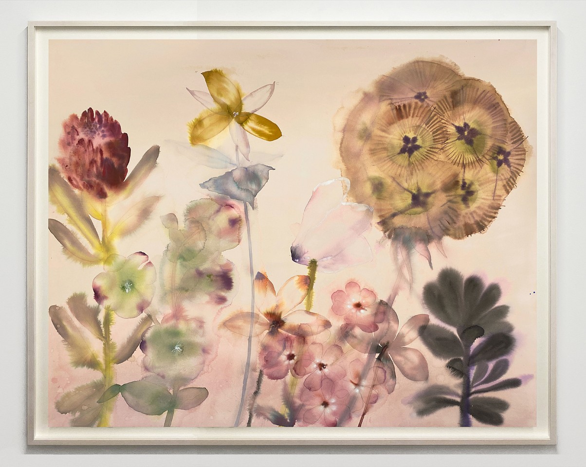 Lourdes Sanchez
A Trillium Leaf, 2026
SANCH1085
ink, watercolor and pencil on paper, 43 x 55 inches / 47 1/2 x 59 1/2 inches framed