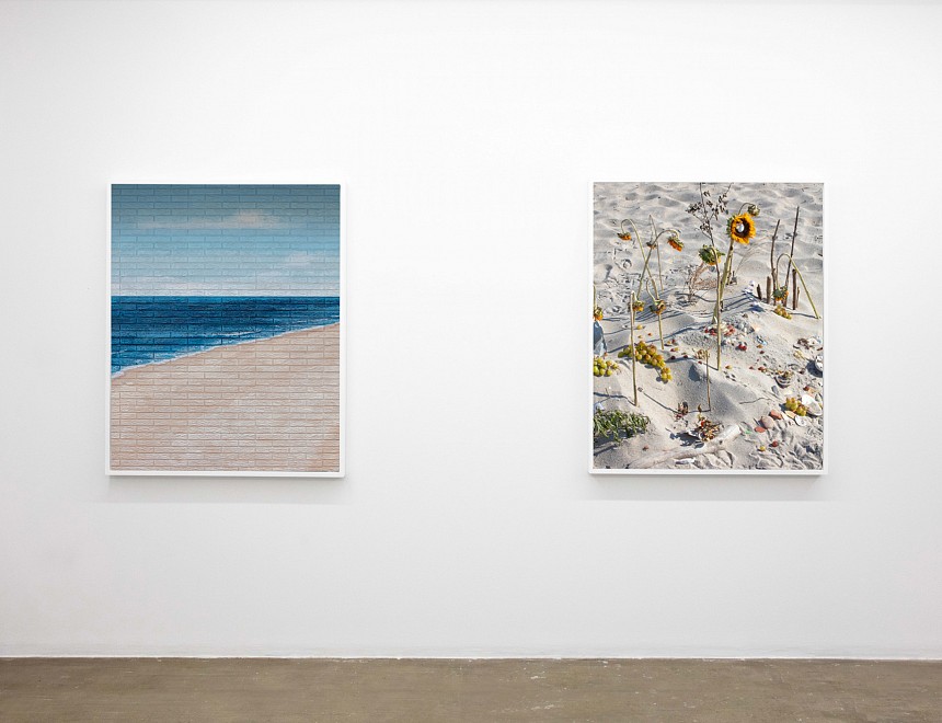 Still Land - Installation View